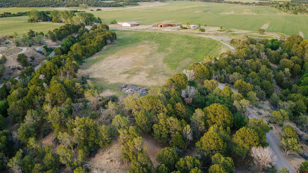 14022 N73 Road Montrose CO 81401