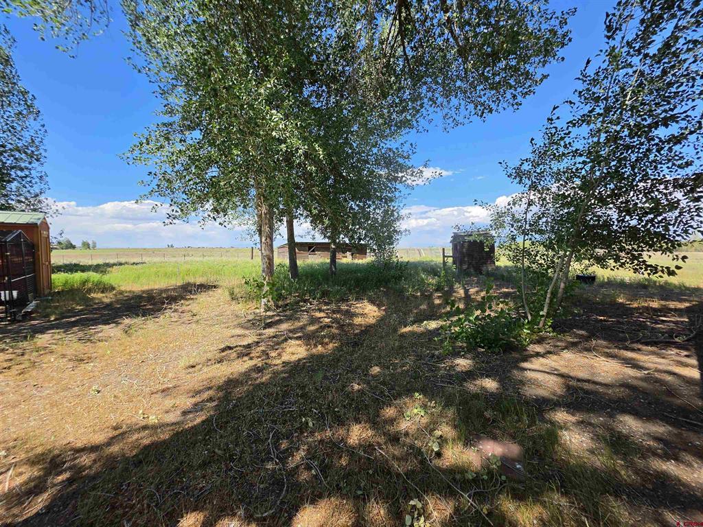 429 County Road 10 S Alamosa CO 81101