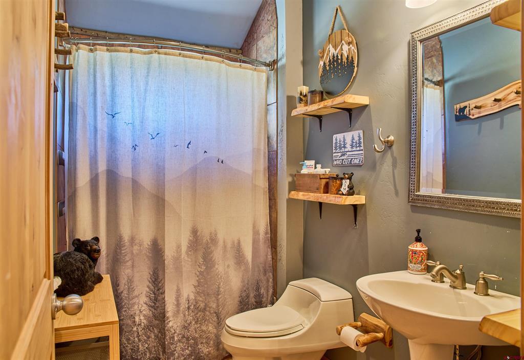 27 Red Bluff Drive South Fork CO 81154