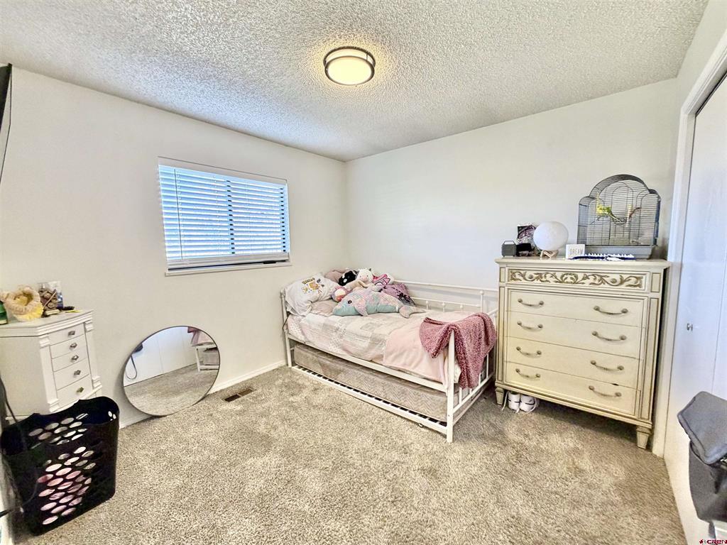 2339 Oldham Way Montrose CO 81401