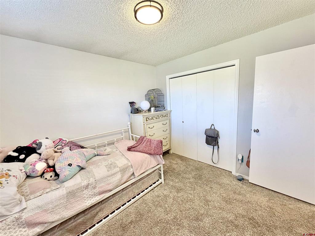 2339 Oldham Way Montrose CO 81401