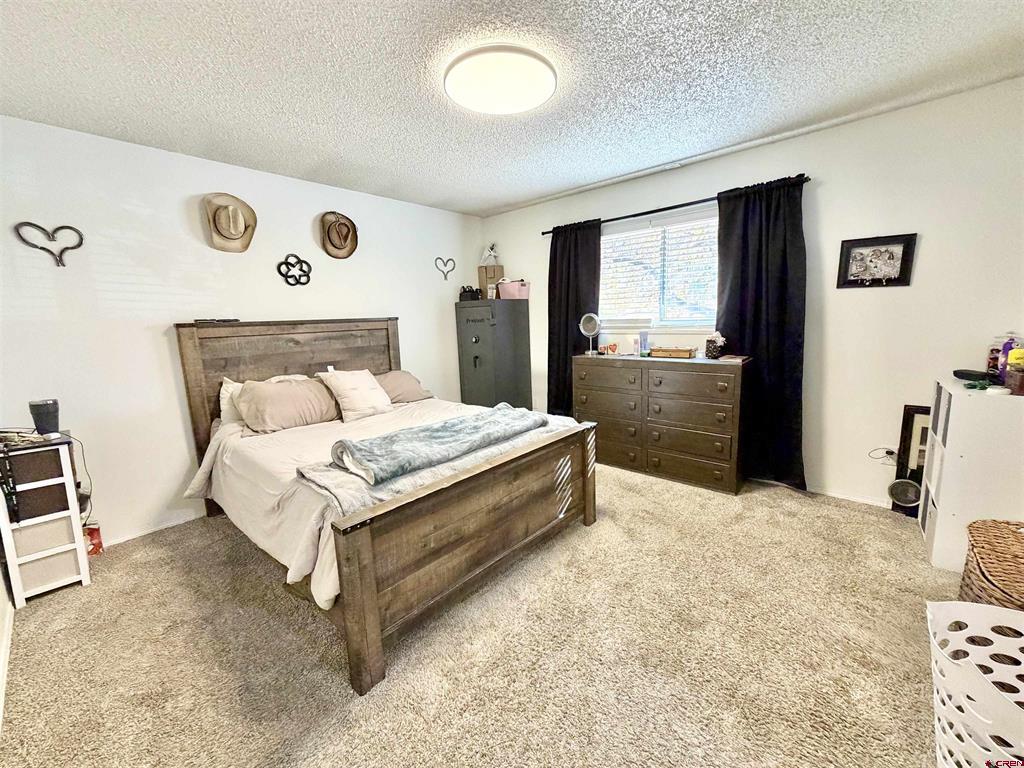 2339 Oldham Way Montrose CO 81401