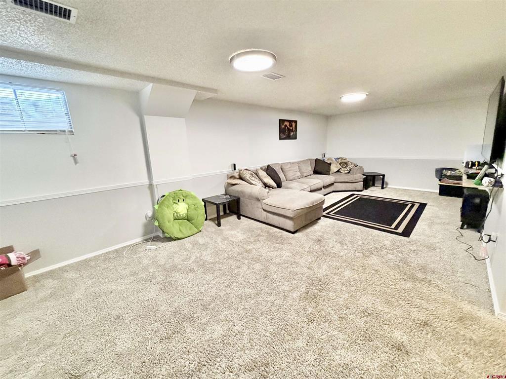 2339 Oldham Way Montrose CO 81401