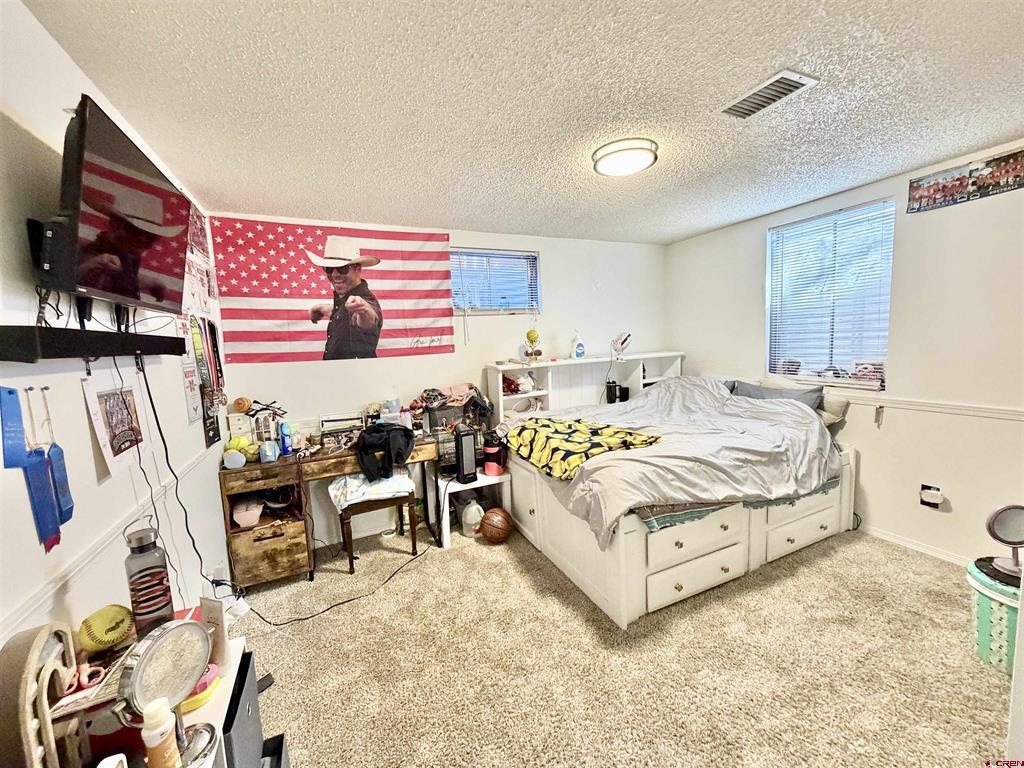 2339 Oldham Way Montrose CO 81401