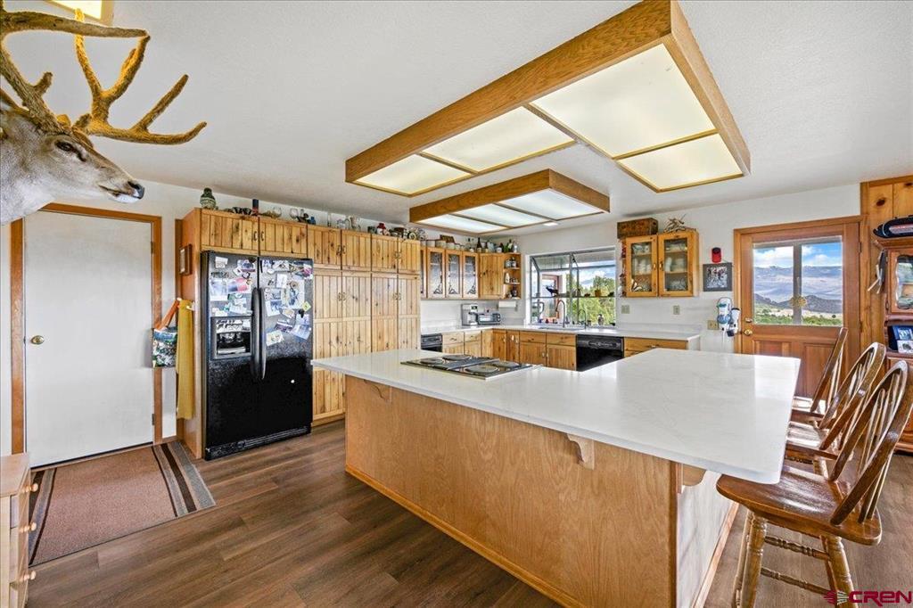 250 Sue Bob Court Montrose CO 81403