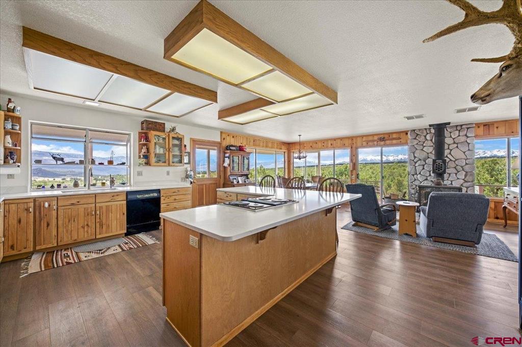 250 Sue Bob Court Montrose CO 81403