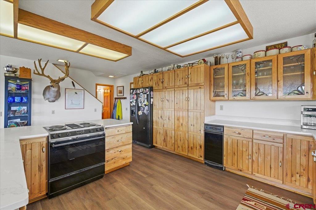 250 Sue Bob Court Montrose CO 81403
