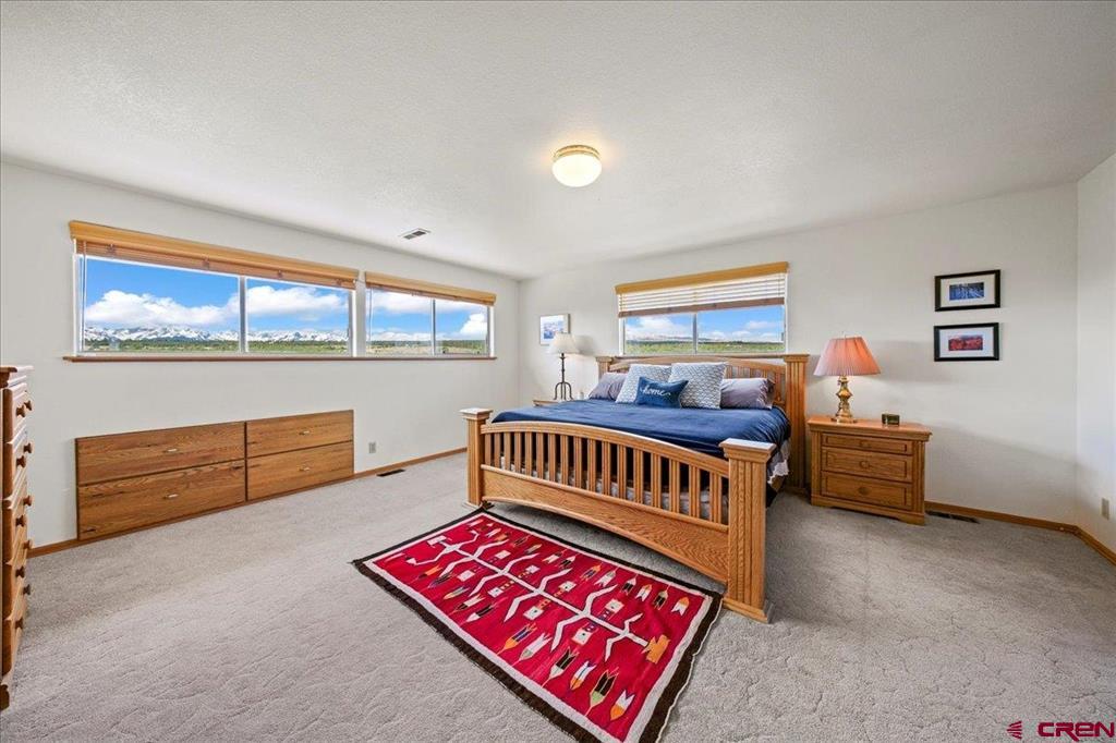 250 Sue Bob Court Montrose CO 81403