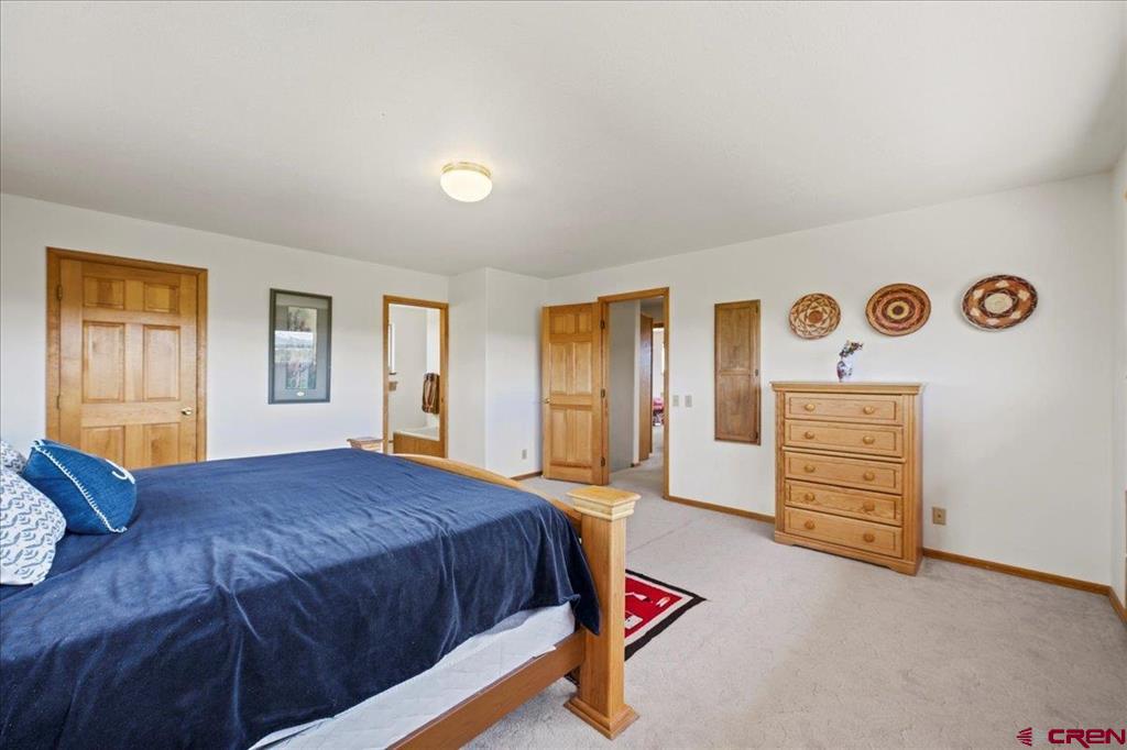 250 Sue Bob Court Montrose CO 81403