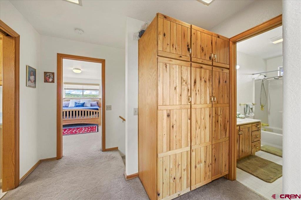 250 Sue Bob Court Montrose CO 81403