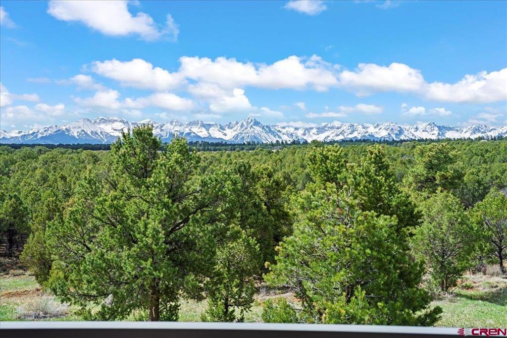 250 Sue Bob Court Montrose CO 81403