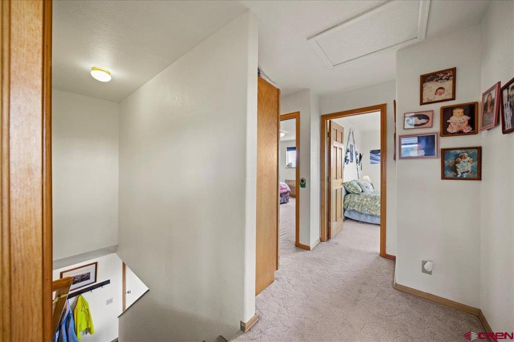 250 Sue Bob Court Montrose CO 81403