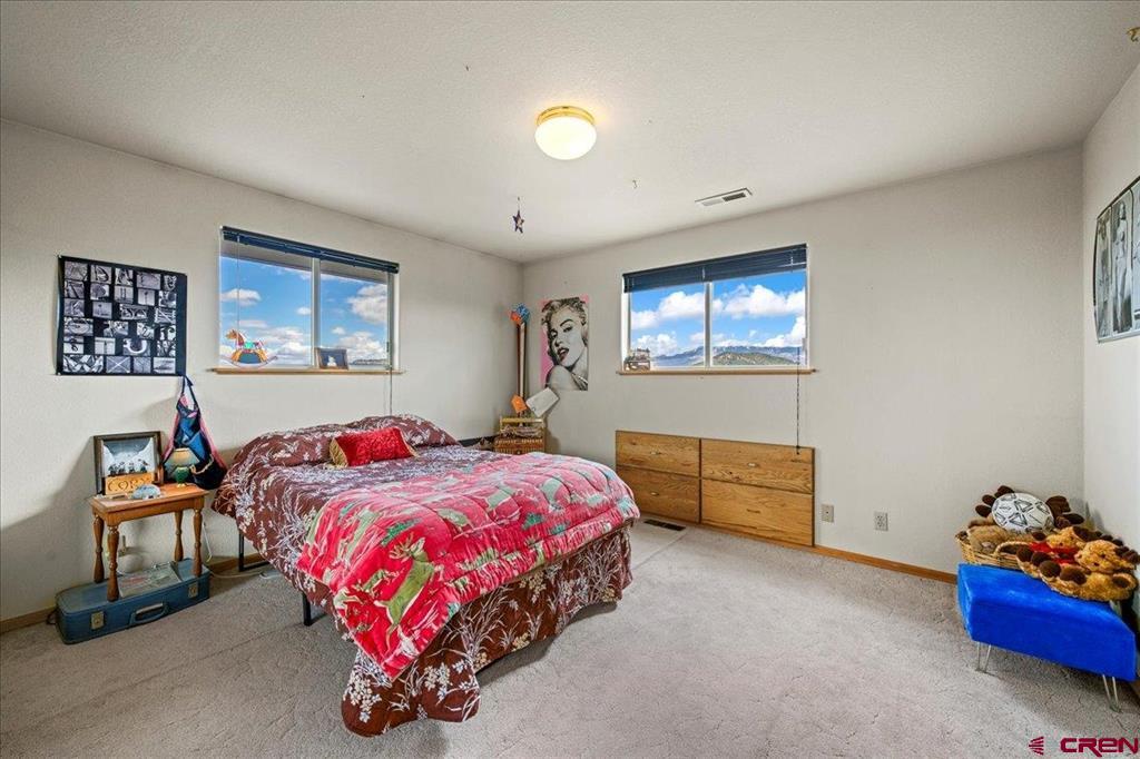 250 Sue Bob Court Montrose CO 81403
