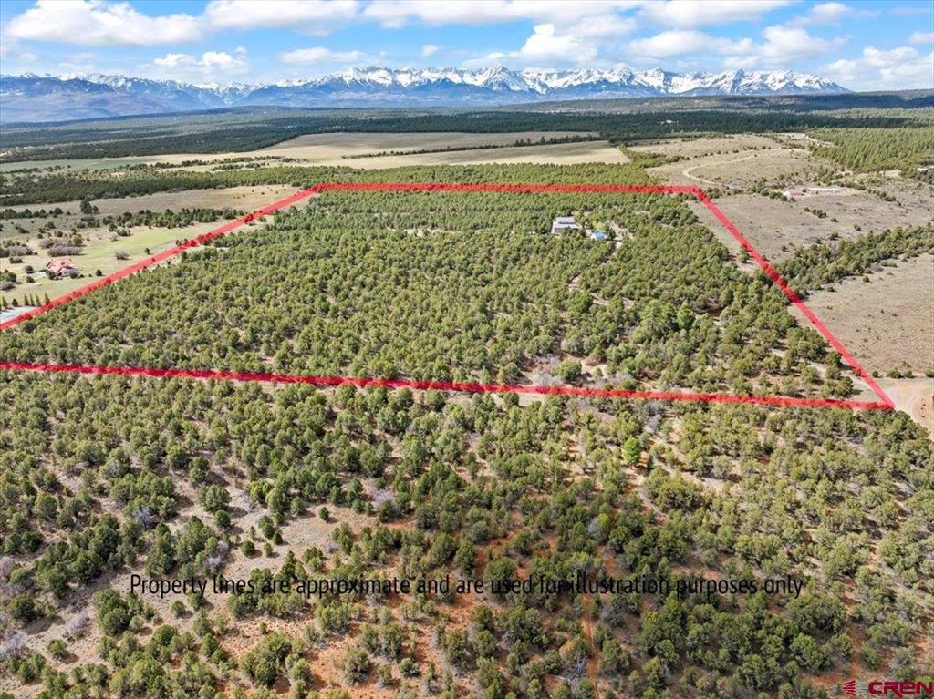 250 Sue Bob Court Montrose CO 81403
