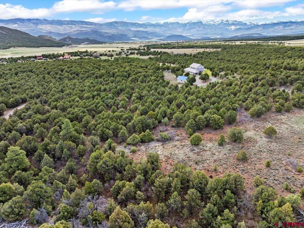 250 Sue Bob Court Montrose CO 81403