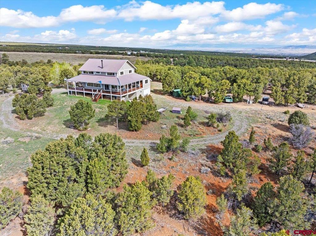 250 Sue Bob Court Montrose CO 81403