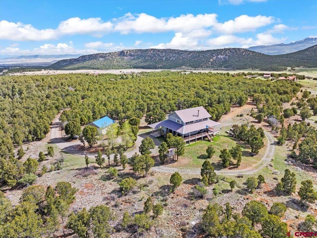 250 Sue Bob Court Montrose CO 81403