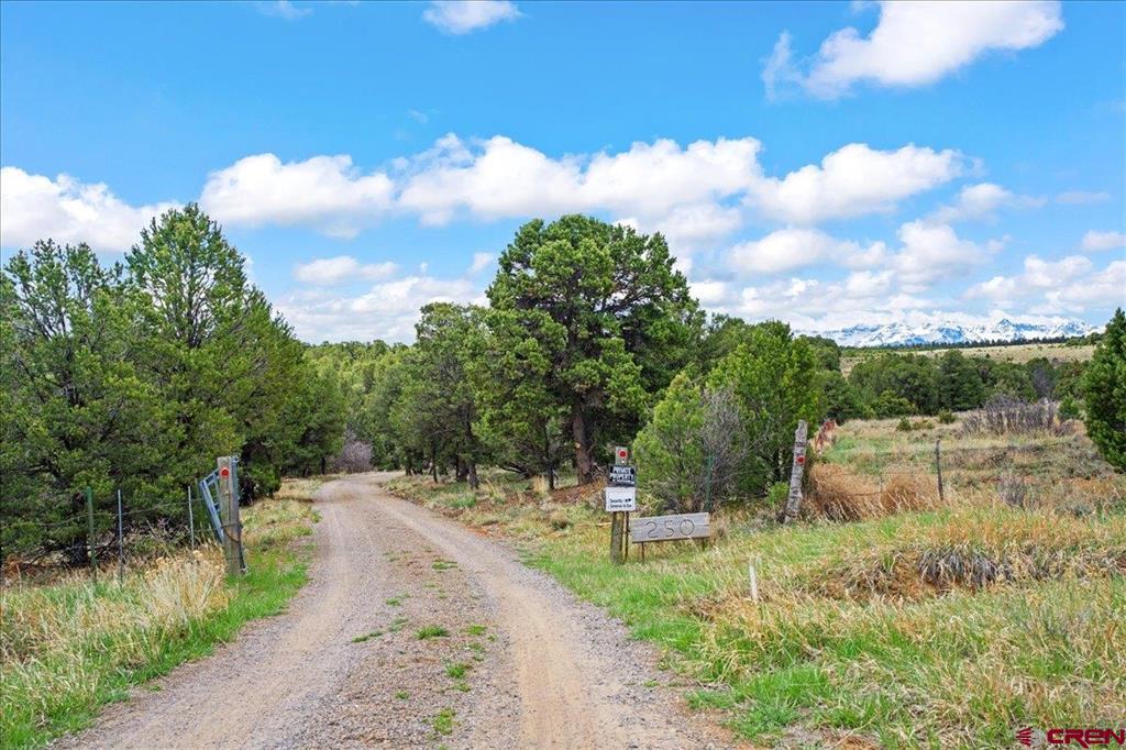 250 Sue Bob Court Montrose CO 81403