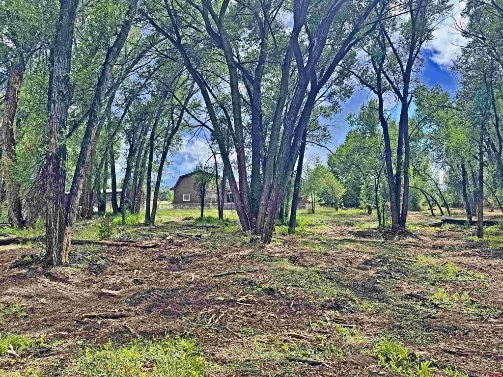 11003 Highway 160 Del Norte CO 81132