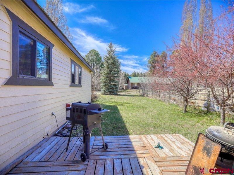 1142 Lake Forest Circle Pagosa Springs CO 81147