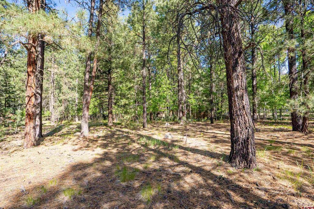 1896 County Road 500 Bayfield CO 81122