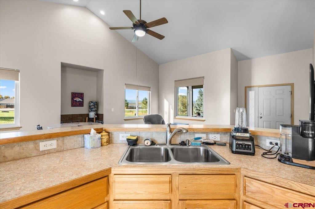 3250 Wheat Grass Drive Montrose CO 81401