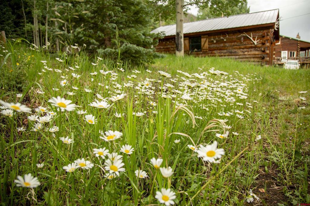 2150 Usfs 521 Road Creede CO 81130