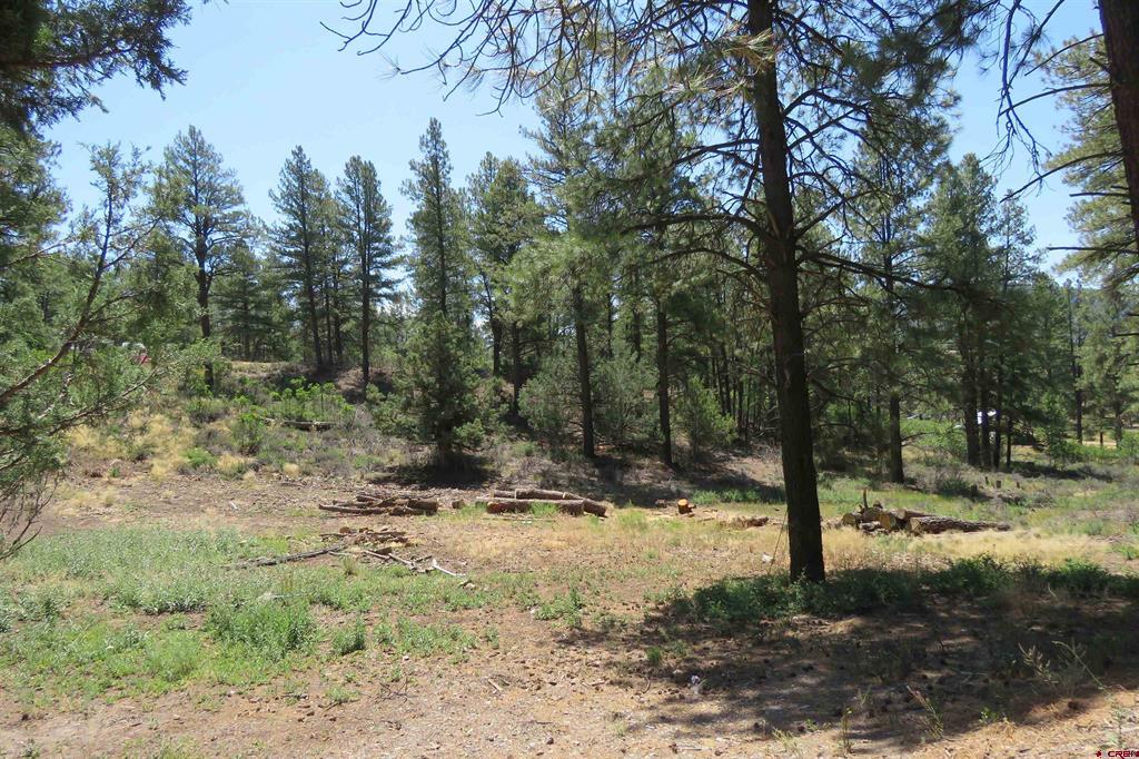 407 Simmons Drive Pagosa Springs CO 81147