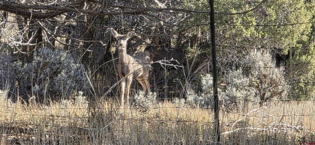 8257 Street Highway 172 Ignacio CO 81137