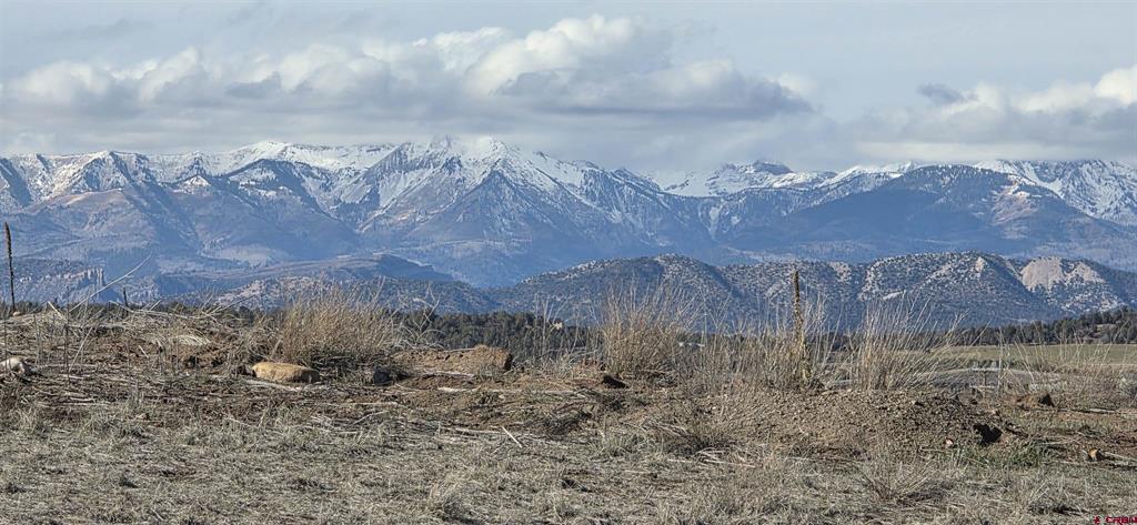 8257 Street Highway 172 Ignacio CO 81137