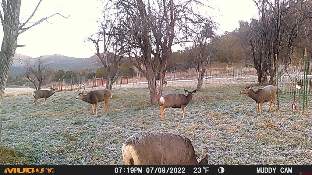 3115 Cr 973 Ignacio CO 81137