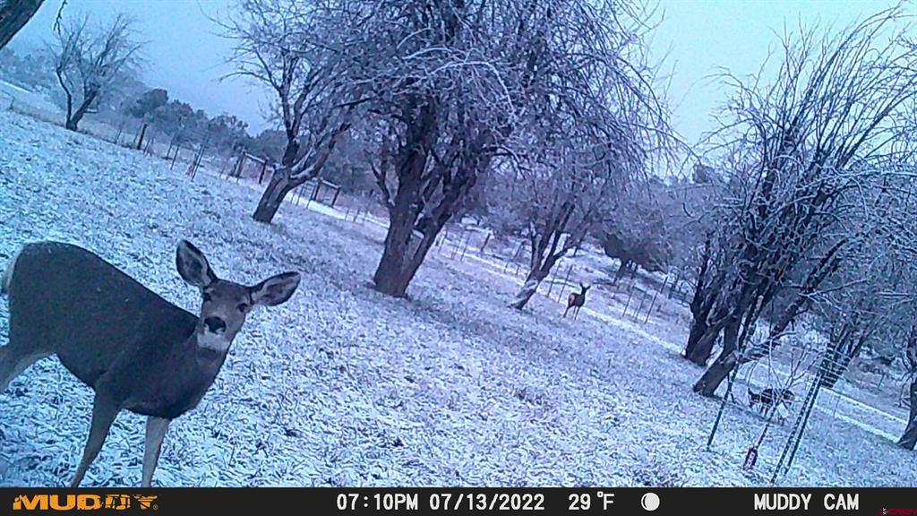 3115 Cr 973 Ignacio CO 81137