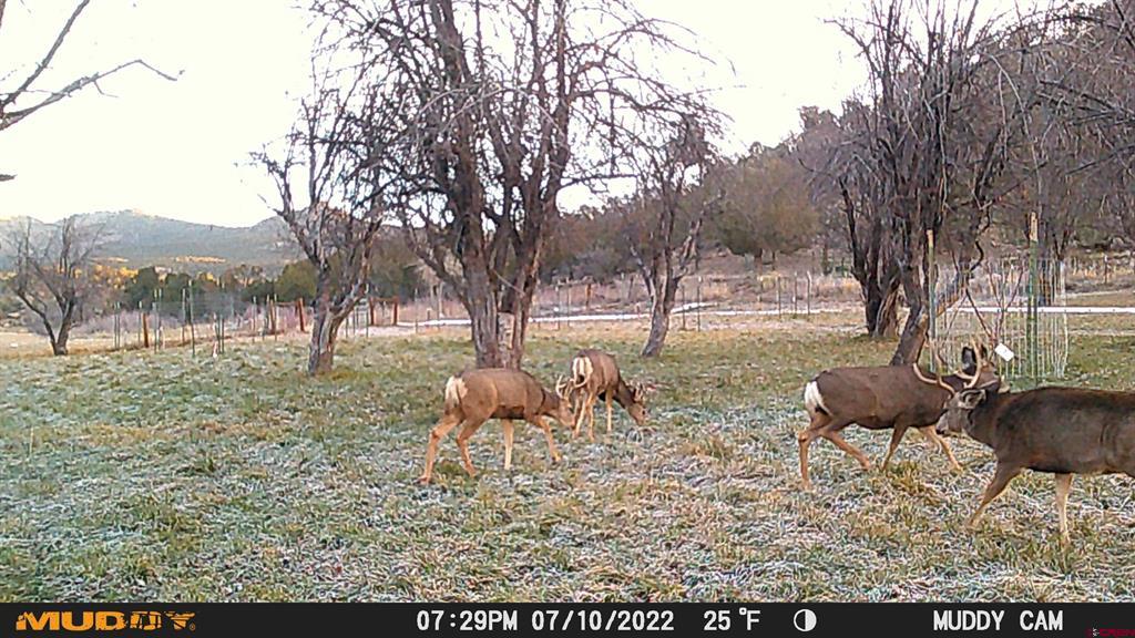 3115 Cr 973 Ignacio CO 81137