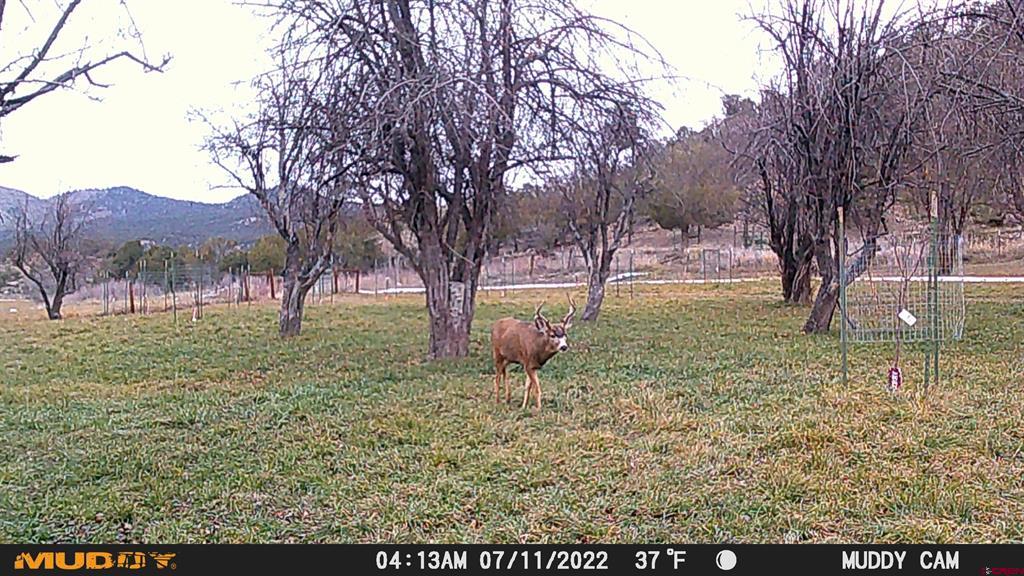 3115 Cr 973 Ignacio CO 81137