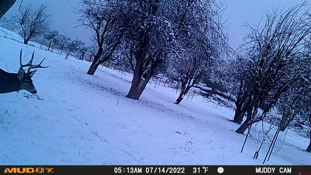 3115 Cr 973 Ignacio CO 81137