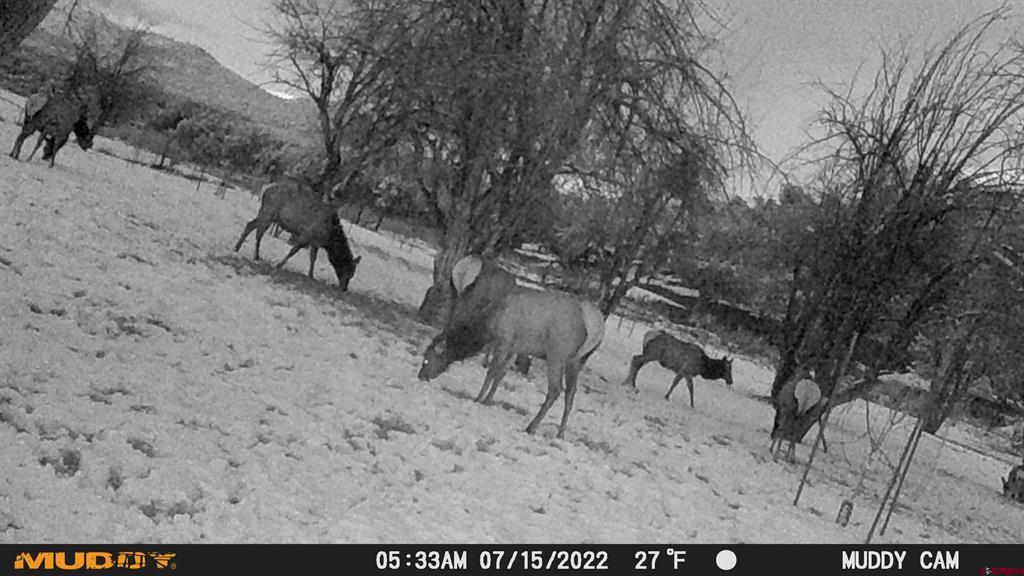 3115 Cr 973 Ignacio CO 81137