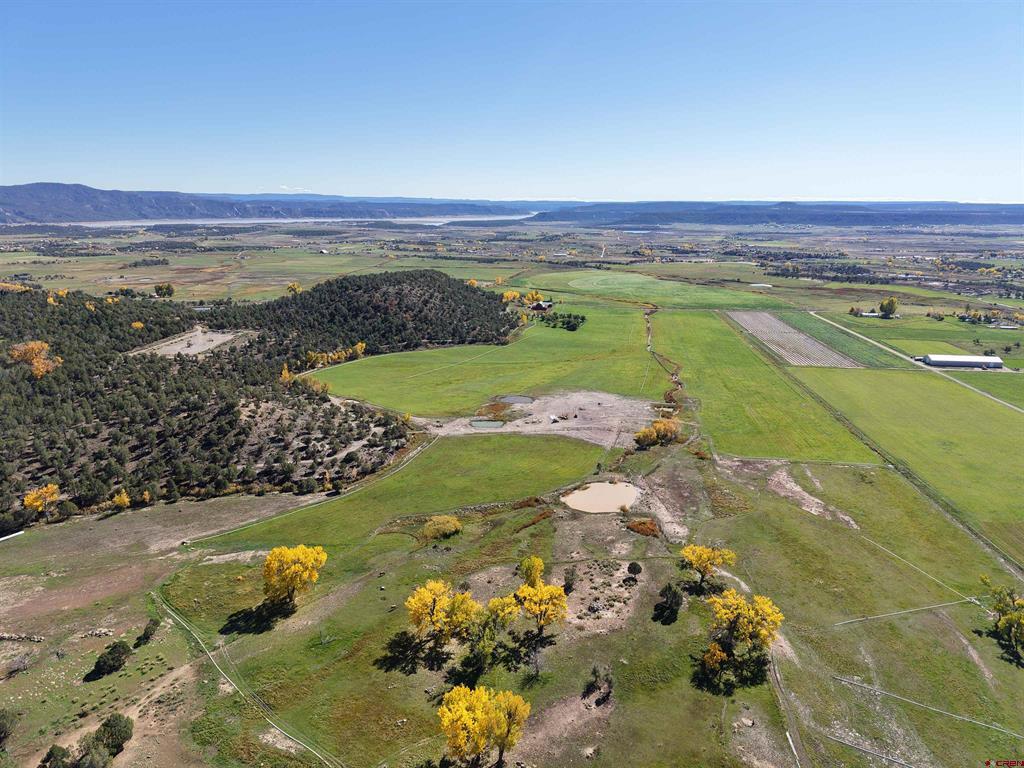 3115 Cr 973 Ignacio CO 81137
