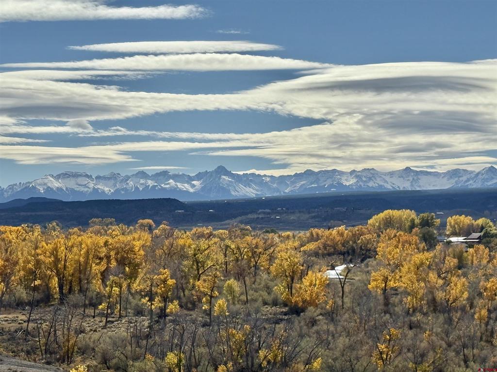 16885 Wildwood Drive Montrose CO 81403