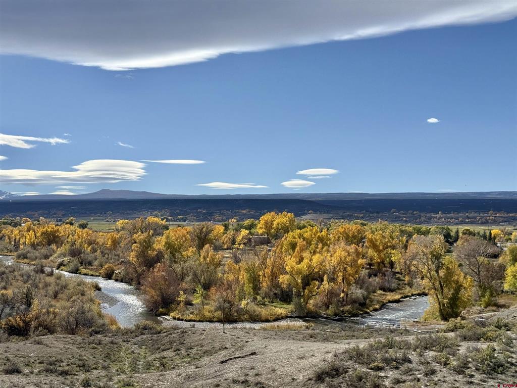 16885 Wildwood Drive Montrose CO 81403