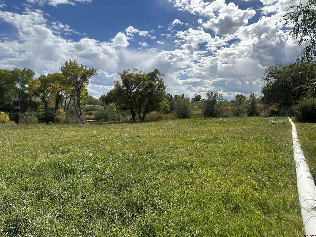 60116 Oak Grove Road Montrose CO 81403