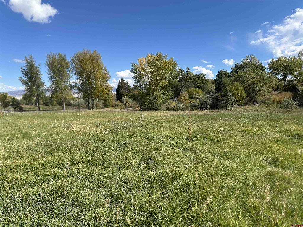 60116 Oak Grove Road Montrose CO 81403