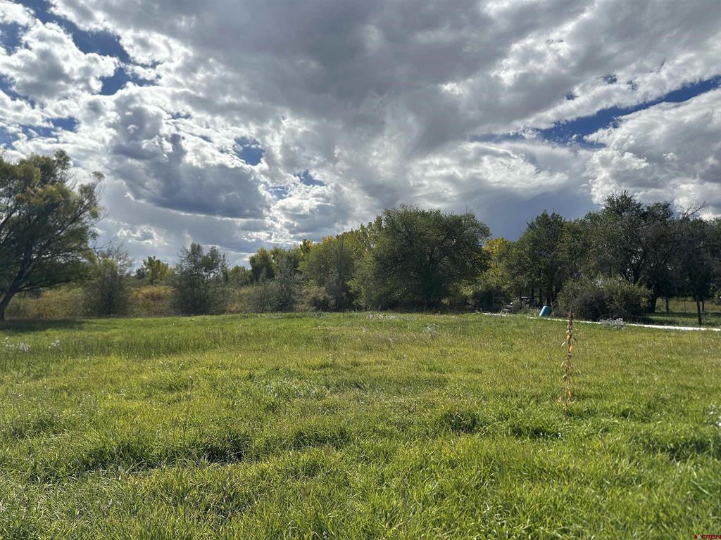 60116 Oak Grove Road Montrose CO 81403