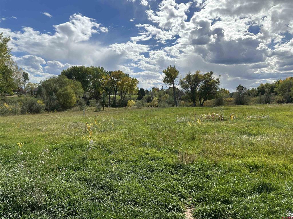 60116 Oak Grove Road Montrose CO 81403