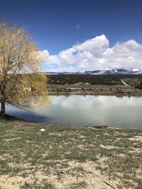 37988 & 38014 Highway 184 Mancos CO 81328