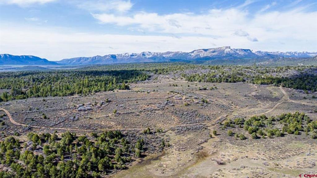 37988 & 38014 Highway 184 Mancos CO 81328