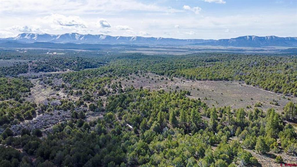 37988 & 38014 Highway 184 Mancos CO 81328