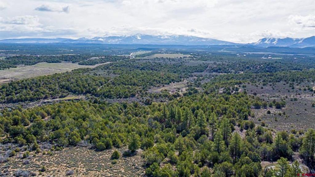 37988 & 38014 Highway 184 Mancos CO 81328