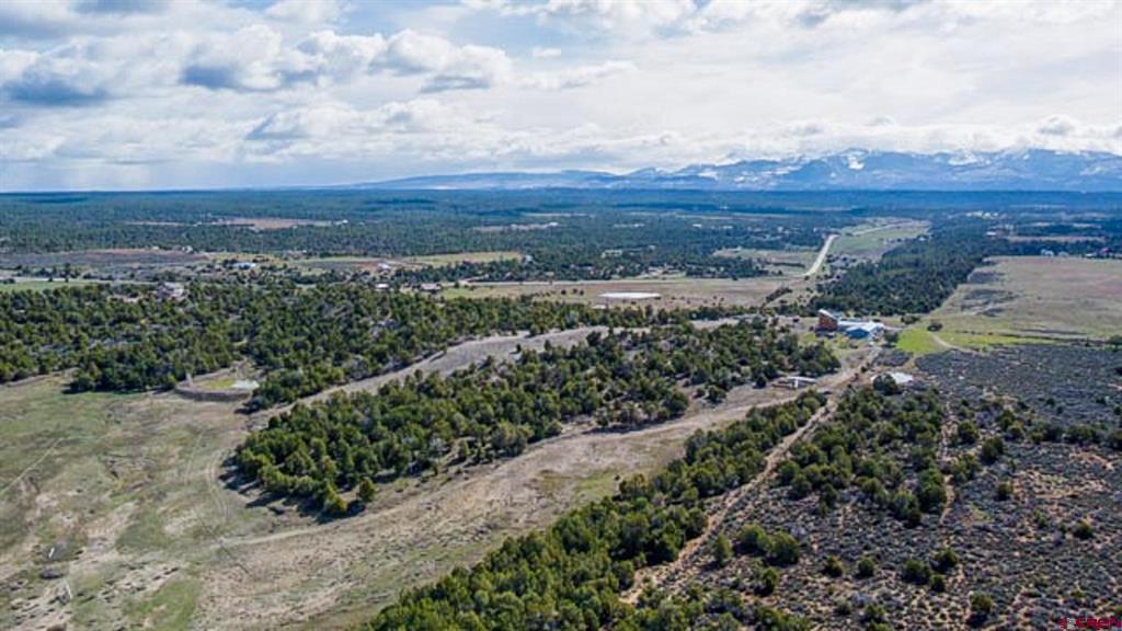 37988 & 38014 Highway 184 Mancos CO 81328