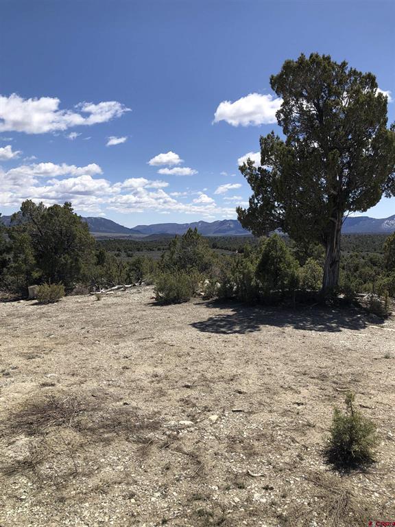 37988 & 38014 Highway 184 Mancos CO 81328