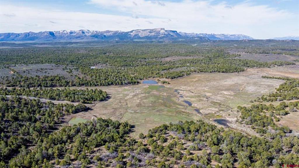 37988 & 38014 Highway 184 Mancos CO 81328